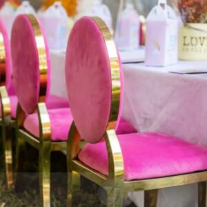 Gold Stainless Steel Chair Pink