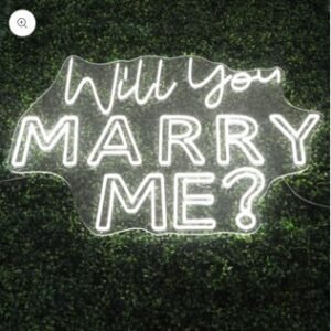 Will You Marry Me